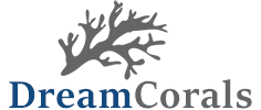DreamCorals-Logo